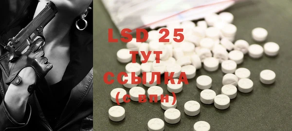 прущие грибы Нефтекумск