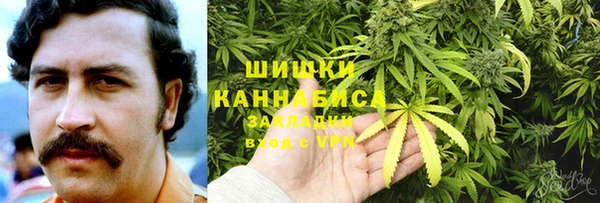 прущие грибы Нефтекумск