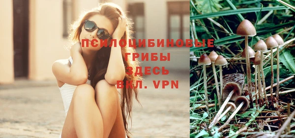 мяу мяу мука Надым