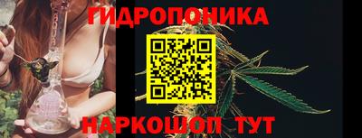 гидра Аргун