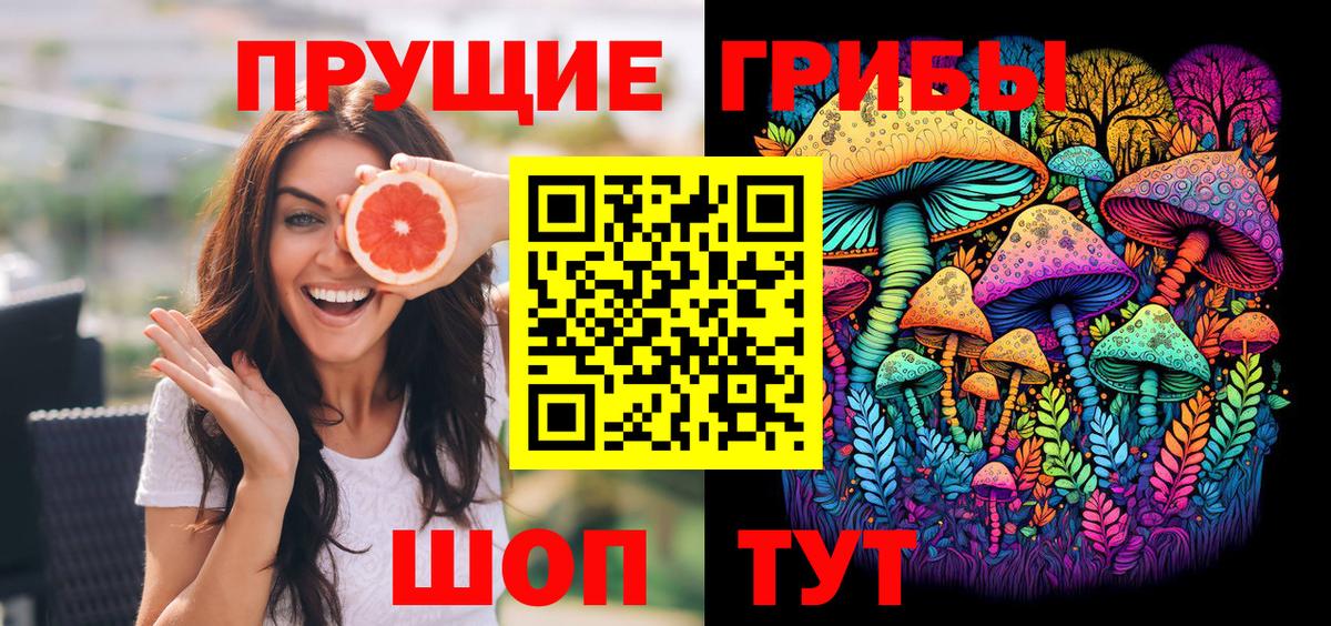 Галлюциногенные грибы Psilocybe Нижнеудинск