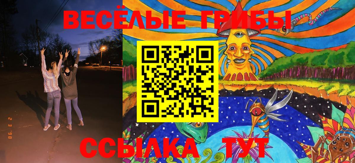 Нижнеудинск  Псилоцибиновые грибы Psilocybine cubensis  Вход с VPN 