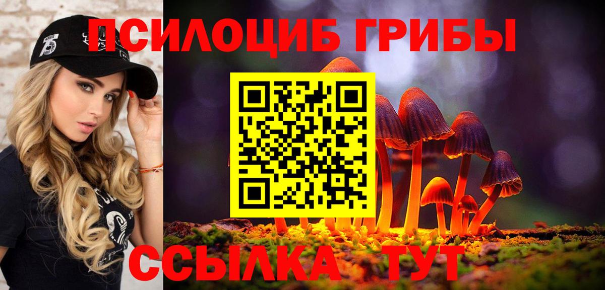 Галлюциногенные грибы Psilocybine cubensis Нижнеудинск